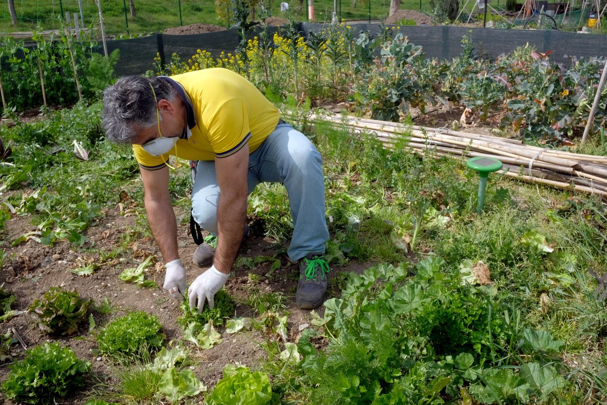 Radio1Rai's tweet photo. #MaryPopLive sabato 9.30 @mt_lamberti e Lorenzo Opice: #OrtiInCasa è tendenza. #CucinaSlow per prepararsi alla #Pasqua, la #ricetta di chef Sergio Ferrarini. #TurismoOnline @UffiziGalleries #Firenze, in #DAD. #SNPO @LILTnazionale. #Viaggi @umbertobroccoli e #RadiodiBordo. https://t.co/S8RXN2zUCx