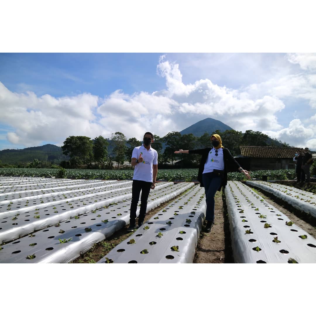 HumasKBB's tweet photo. @Hengkychova berharap profesi petani ini tidak dipandang sebelah mata, akan tetapi generasi muda ini harus bisa memajukan dan mengembangkan desanya.  #petanimilenial #kikoffpenatimilenial #bandungbarat #jabarjuara #bandungbaratlumpaaat https://t.co/6iWpAOfOZz