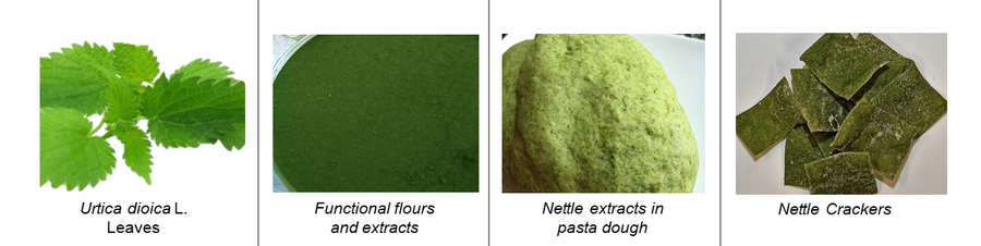 CORE_Organic's tweet photo. Nettles โ a weed you don't want to get close to, or a functional additive in organic food? #SusOrgPlus
https://t.co/7vRSyrcHGC https://t.co/eHbofJxrF9
