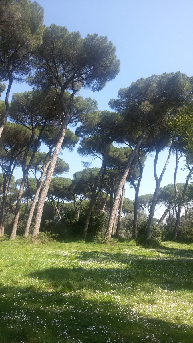 PierroDelia's tweet photo. A contatto con la Natura https://t.co/o3xaaWNJbR