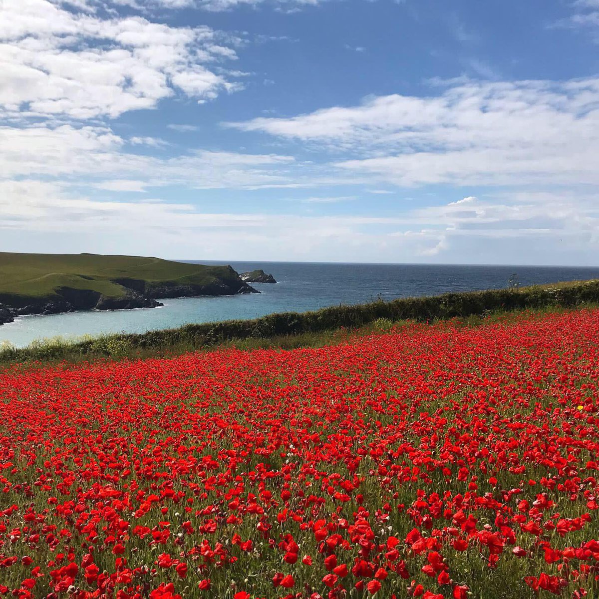 Are you looking for an Orthodontic Consultant  post which offers you a fantastic work/life balance in a beautiful county? Come to Cornwall. #livingmybestlife #beachafterwork #cornishcoast NHS Jobs: 156-MS-3126-A <a href="/BOSbraces/">BOS</a> <a href="/wfo2020virtual/">9thIOC_Orthodontic</a> <a href="/orthopracticeuk/">Orthodontic Practice</a> <a href="/The_BDJ/">BDJ Portfolio</a>