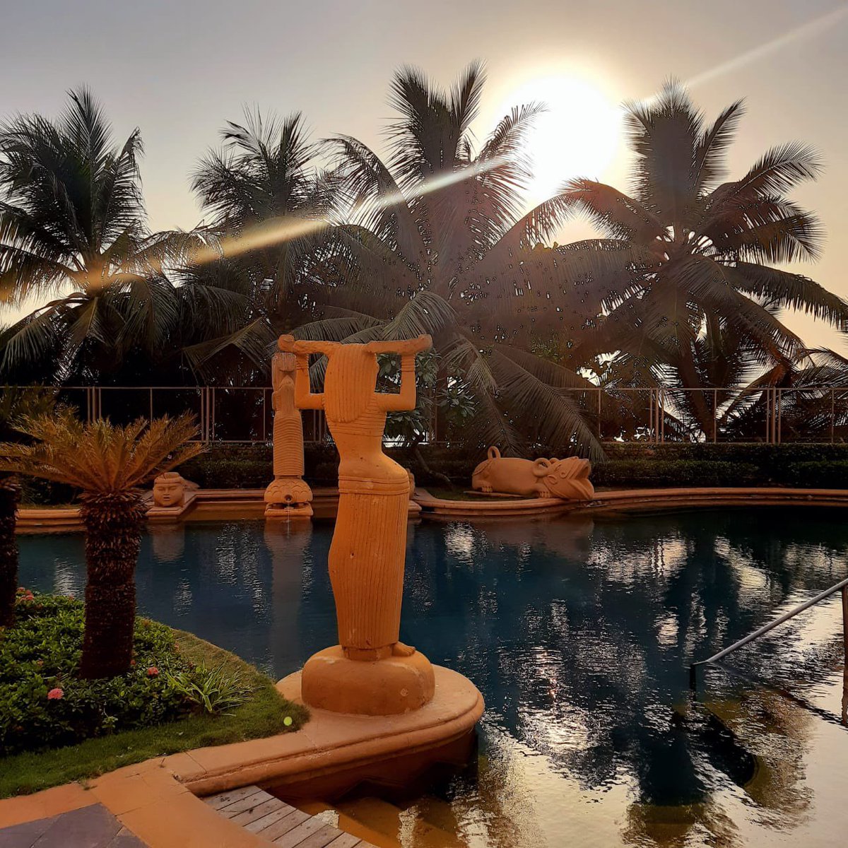 JWMarriottJuhu's tweet photo. Last light cast through palm groves - the essence of evening at #JWMarriottJuhu 🌴

Visit https://t.co/yGv1uYrry1 to book your city escape with us.

#Sunsetgram #ExperienceJWM #JWMarriott https://t.co/vvHPVmPeUk