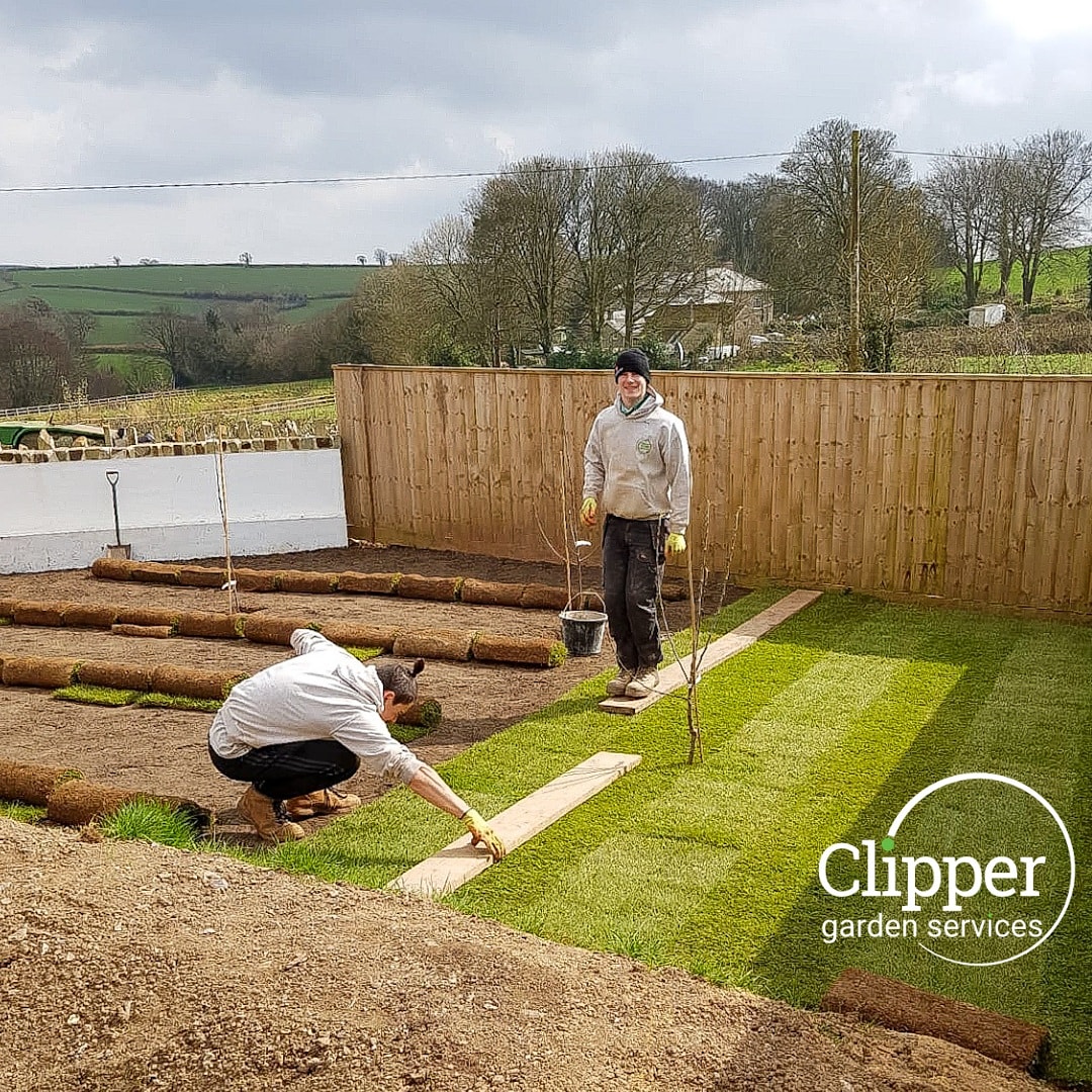 Clippergarden's tweet photo. That instant hit of green!

This week our turf has arrived from.@DevonTurf to brighten up the garden with an instant hit of natural colour!

#lawns #gardens #turf https://t.co/pb7jm8pOLr