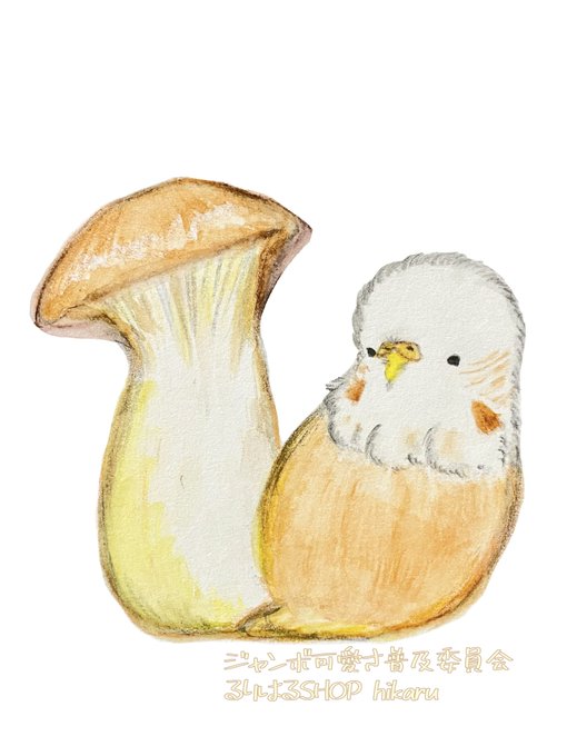 エリンギのtwitterイラスト検索結果 エリンギのtwitterイラスト検索結果