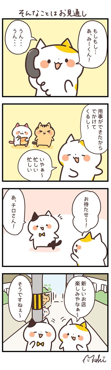 関西弁にゃんこ Kansai Nyanko Twitter 関西弁にゃんこ Kansai Nyanko Twitter