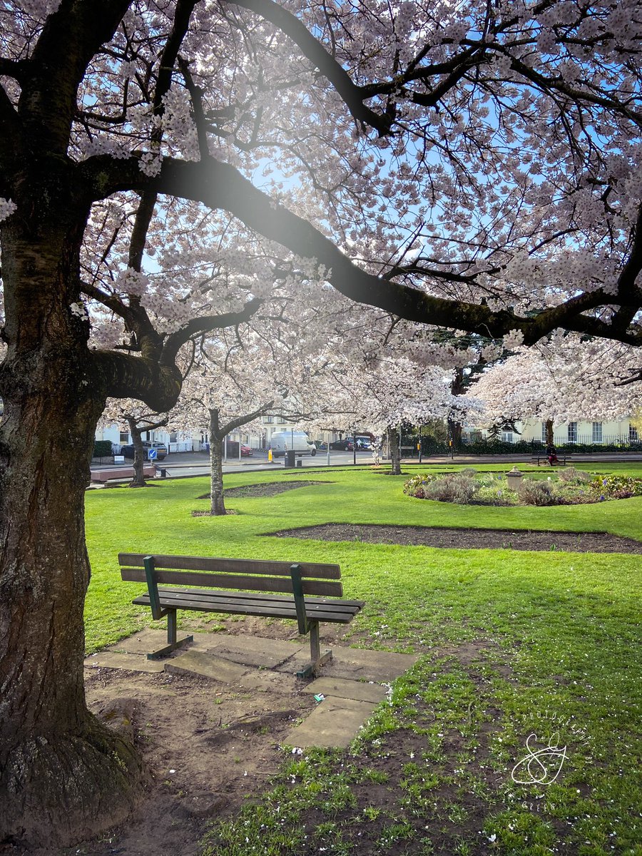 photosbystevegreen tweet media