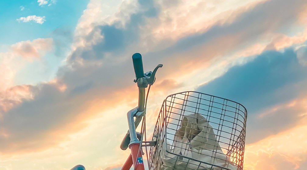 Shota A Twitteren アニメのような景色と田舎の夕焼け