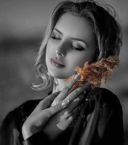 🇮🇶الـــــــــــــــســيـدة🇮🇶 tweet media