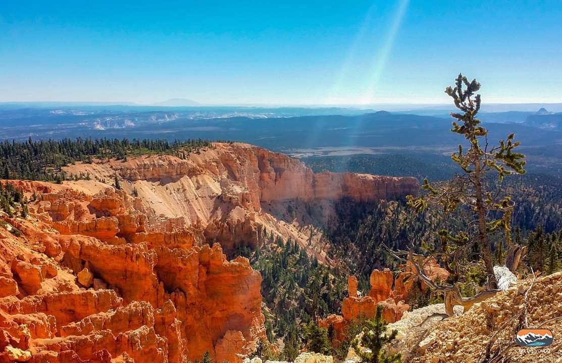 Go_Be_Young's tweet photo. Tired of your kids staring at a video screen? #GetOutside with a #OneWeekTrip to the majestic #Utah National Parks.  #Zion and #BryceCanyon will give them something to stare at!

1-week trip plan here: https://t.co/A2i1KNu943 https://t.co/uwwpj1LBEt