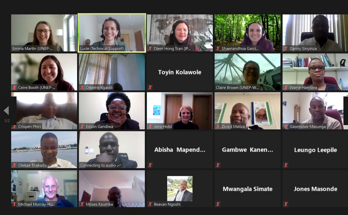 unepwcmc's tweet photo. Yesterday, we organised a workshop for partners in Botswana, Zambia and Zimbabwe on national ecosystem assessments. Partners were guided through the scoping phase of the process to identify key policy questions on nature and its contributions to people.

🔗https://t.co/Rzc22UG54Q https://t.co/QFKafLmvIZ