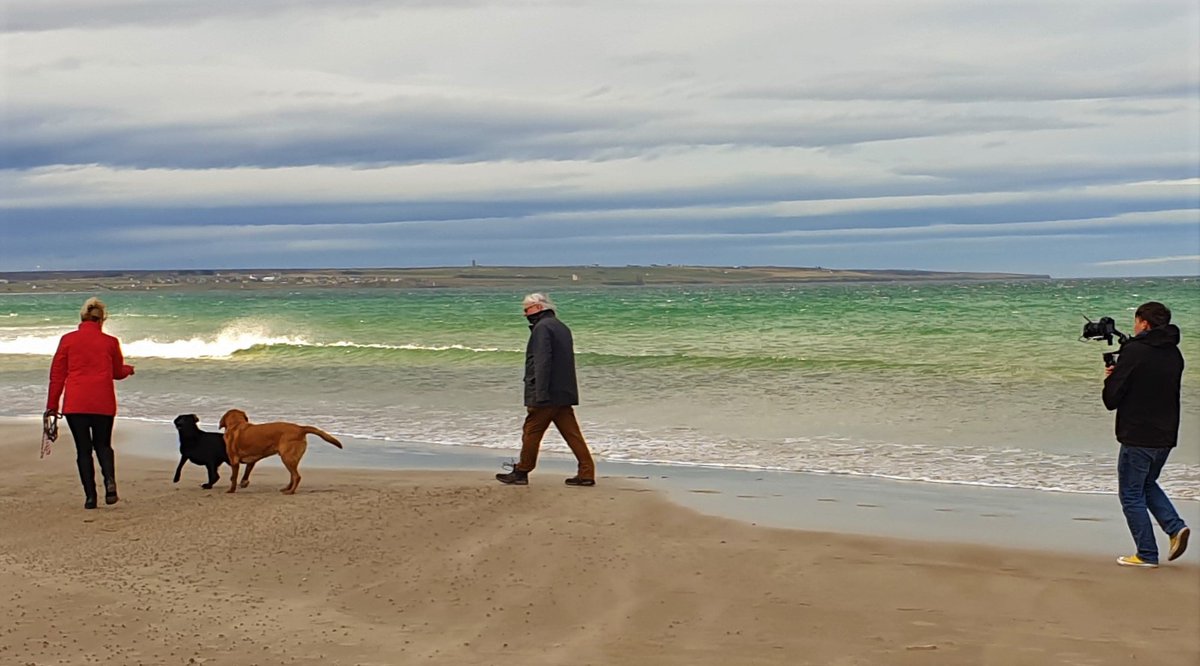 DP Digital Media tweet media