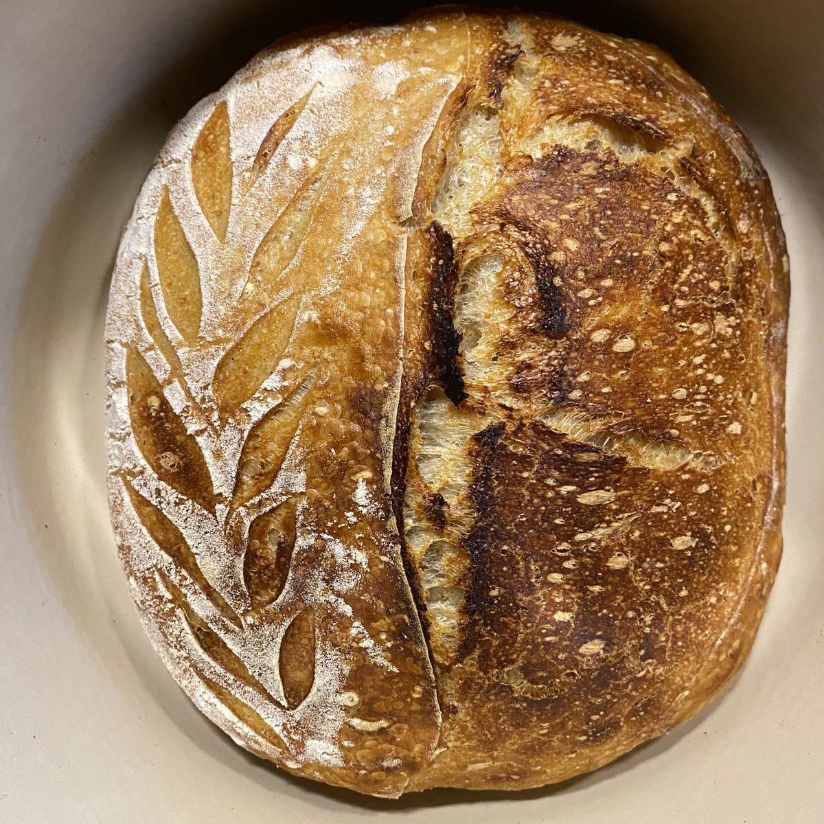 Mjodern's tweet photo. #CRYPTOBREAD #1
Should I mint this?
#NFT https://t.co/cHF8qvnnat