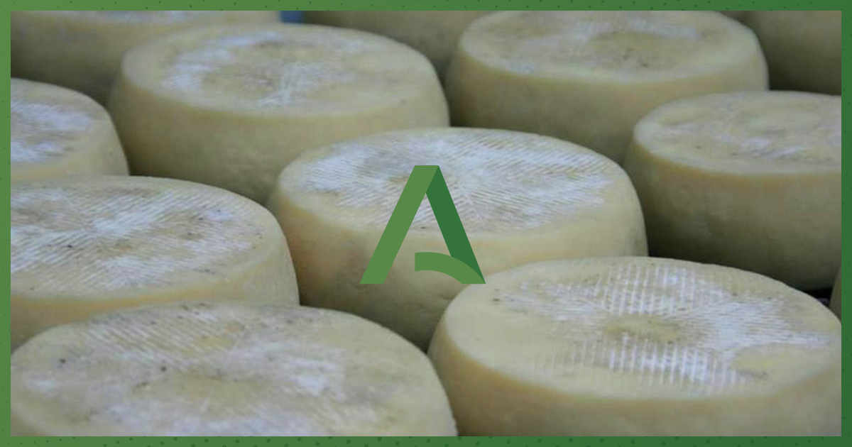 📣Celebramos el #DíaInternacionaldelQueso🧀

🙈Los quesos andaluces son pequeños tesoros etnográficos para degustar en cada bocado.

💯Tradición y toques creativos que engrandecen el rico patrimonio quesero andaluz.

¿Cuál es tu favorito?🤔