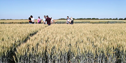 INRAE Santé des Plantes et Environnement tweet media