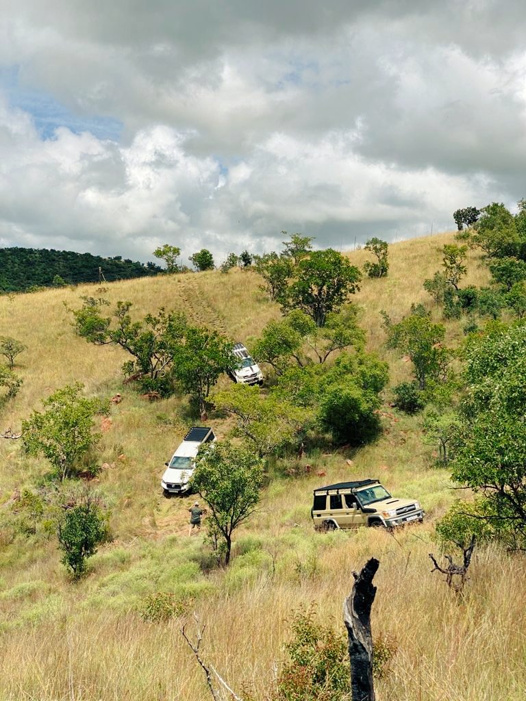 NmNokulunga's tweet photo. A girlie who could do with some publicity, for those who like roughing it out, is Thabazimbi #Limpopo #LandCruiser #ChasingTrails https://t.co/dC0kJGNCoB