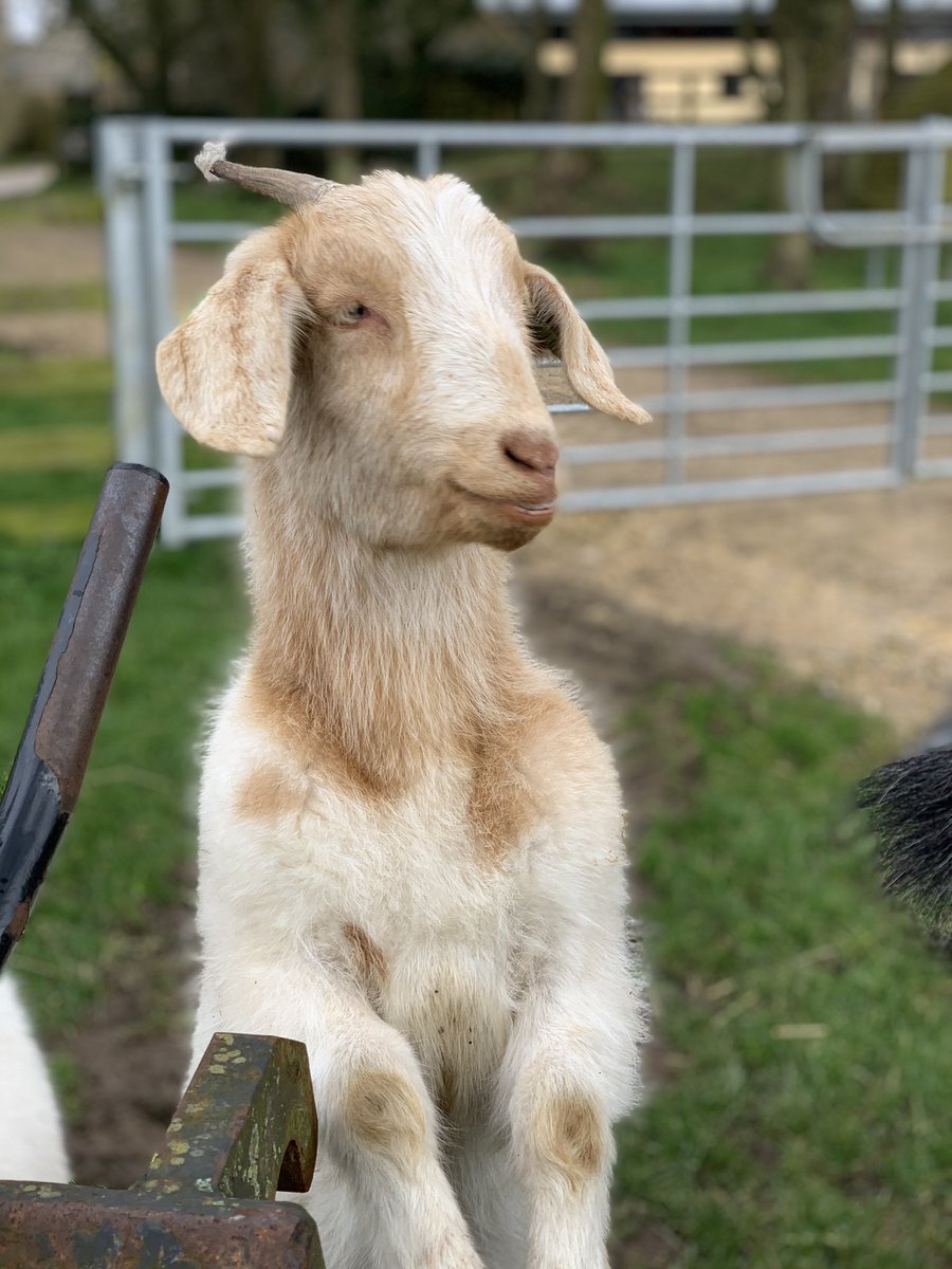 Notgrove Holidays tweet media