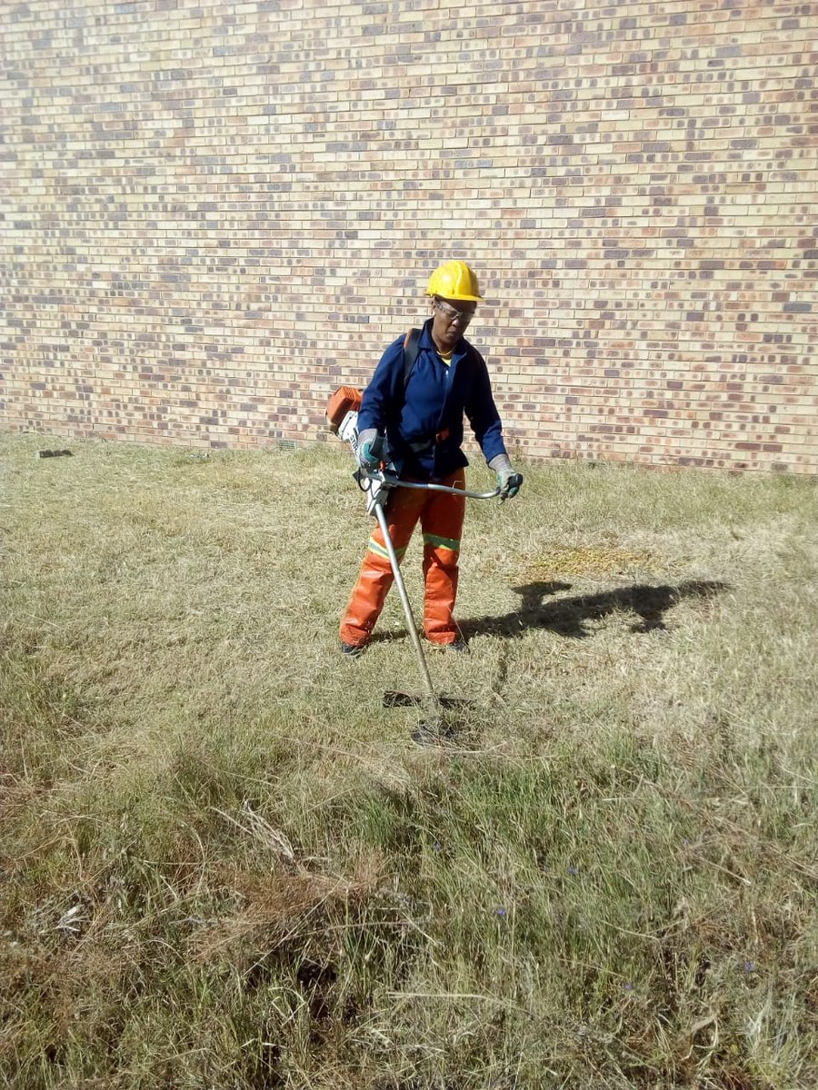 wo_fire's tweet photo. The Working on Fire Theunissen Team in the Free State conducted fuel load reduction. The team used brush cutters to remove overgrown vegetation which poses a veld fire hazard.
#WOF_FS
#IntegratedFireManagement https://t.co/mnj7LqaeSJ