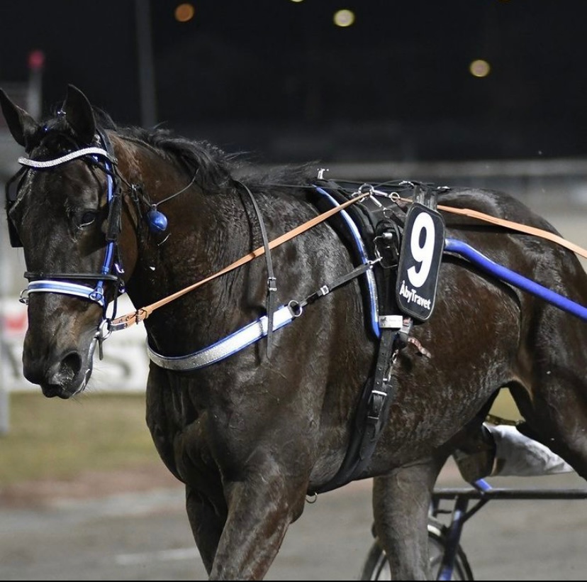 My hero Bag’s Simoni ✨🏆