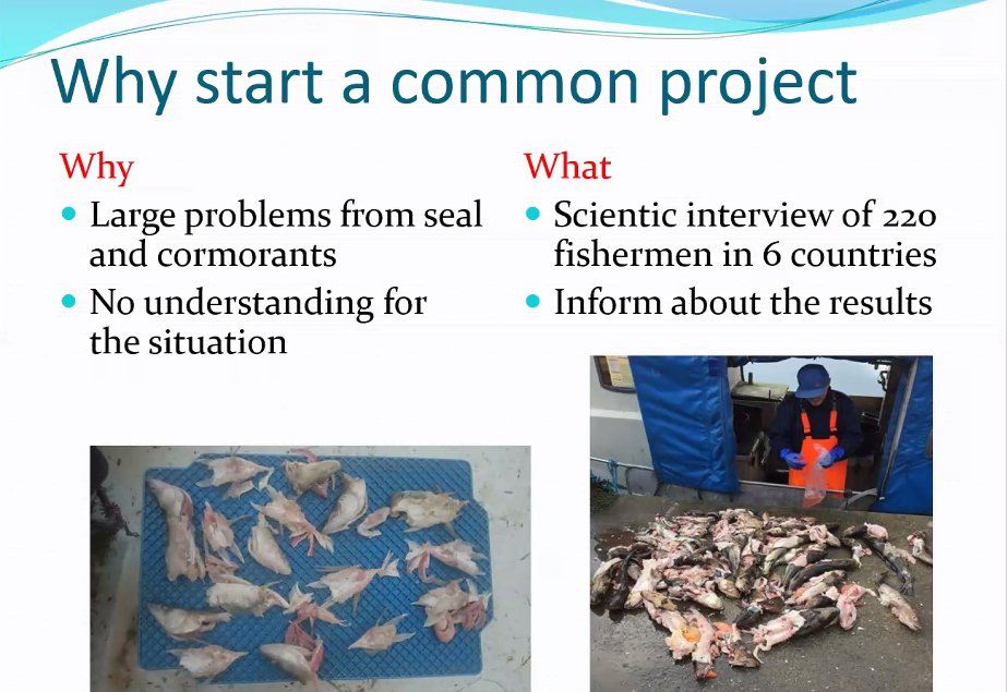 EU_FAMENET's tweet photo. Esko Taanila from Finland describes FLAG efforts to deal with a common #environmental #challenge in the #BalticSea – cormorants & seals. Here’s more info https://t.co/rRNaTHPVNR #FARNETBalticInland @EU_MARE https://t.co/mwxNshnwf7