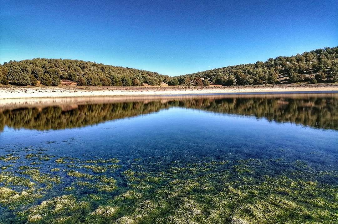 sorianitelaimag's tweet photo. 🤓 ¿Te gustaría visitar las lagunas temporales de Soria antes de que se sequen?  
Foto 1: Laguna de Monteagudo
Foto 2: Laguna de Iruecha
Foto 3: Laguna de Judes
Foto 4: Laguna de Hinojosa

ℹ️ Más información: https://t.co/S07Te765Gy
#SoriaNiTeLaImaginas #EligeSoria @dipsoria https://t.co/NduUzuDTR3