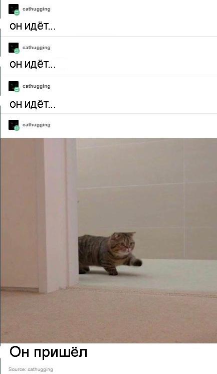 Мем тыгыдык