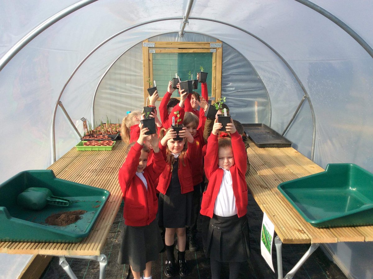 SouthdownCP's tweet photo. More photos of Blwyddyn 1 planting seeds in our new poly tunnel 📸😃🌞🌞#healthandwellbeing #togetherinlearning #beallyoucanbe https://t.co/2vKawBeJjG