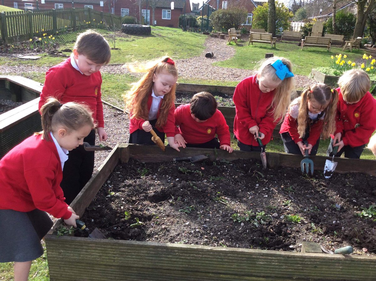 SouthdownCP's tweet photo. More photos of Blwyddyn 1 planting seeds in our new poly tunnel 📸😃🌞🌞#healthandwellbeing #togetherinlearning #beallyoucanbe https://t.co/2vKawBeJjG