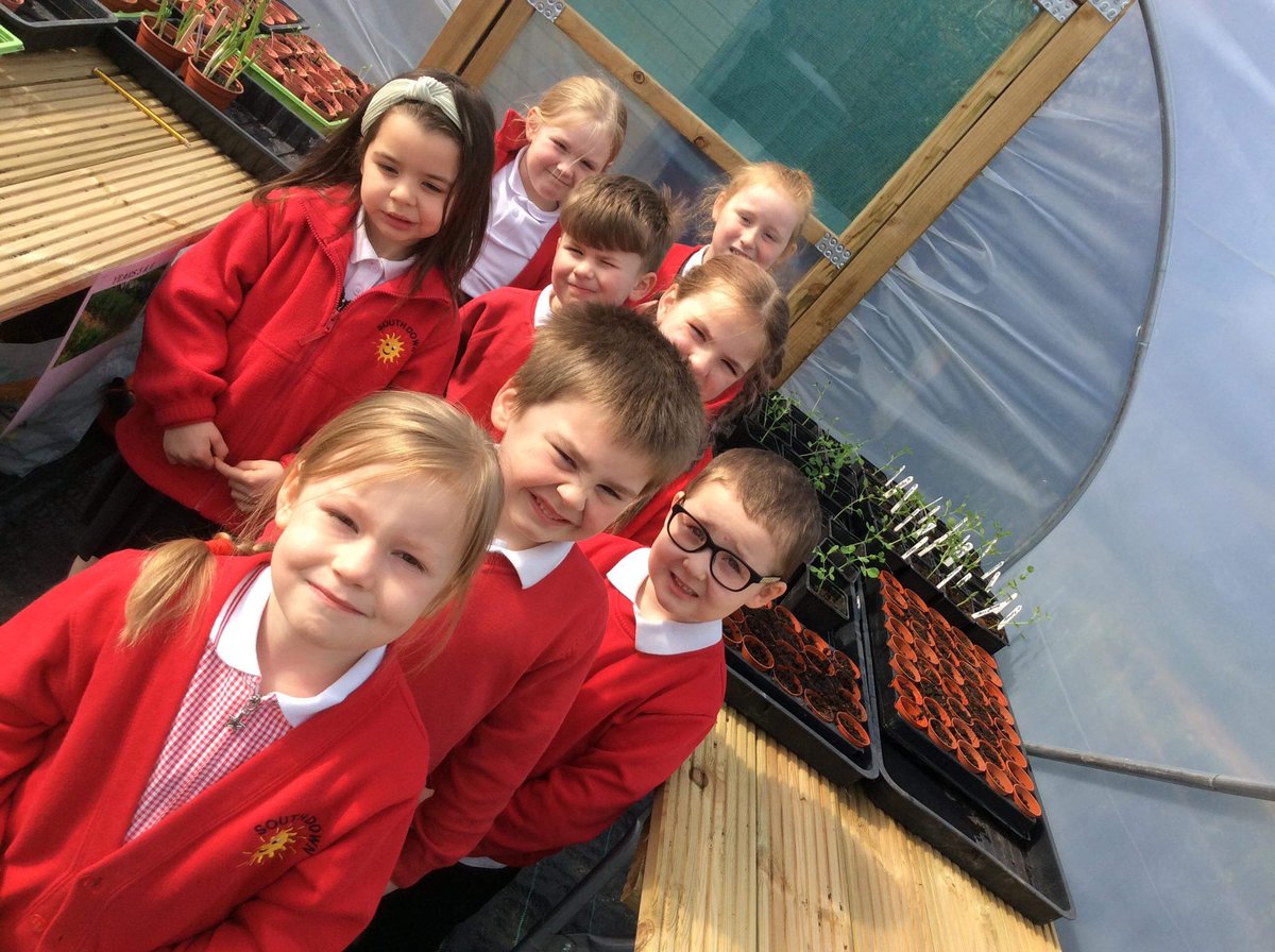 SouthdownCP's tweet photo. More photos of Blwyddyn 1 planting seeds in our new poly tunnel 📸😃🌞🌞#healthandwellbeing #togetherinlearning #beallyoucanbe https://t.co/2vKawBeJjG