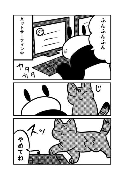 猫が勝手にメッセージを人に送り付けたりする件…暦ちゃんがやりがちなので困っています#ぬら次郎日記 #猫パン日記 