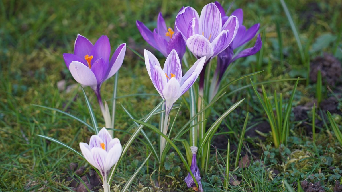 Wishing the UCS community a well-deserved and peaceful spring break <a href="/UCSHampstead/">UCS Hampstead</a> #Paulatim