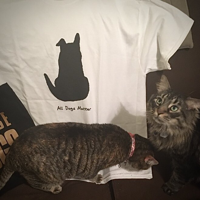 LeopoldLoveday's tweet photo. LOOK! Our FURENDS @AllDogsMatter mailed us the @rickygervais T-shirts so we can show our LOVE for the DOGGIES, TOO! Thanks IRA for this and ALL YOU DO to help our cuzins! #CatsLoveDogs #AllDogsMatter #ClearTheShelters #AdoptDontShop #BeKindToAnimals ❤️🐾❤️ https://t.co/dwUycmqNWE