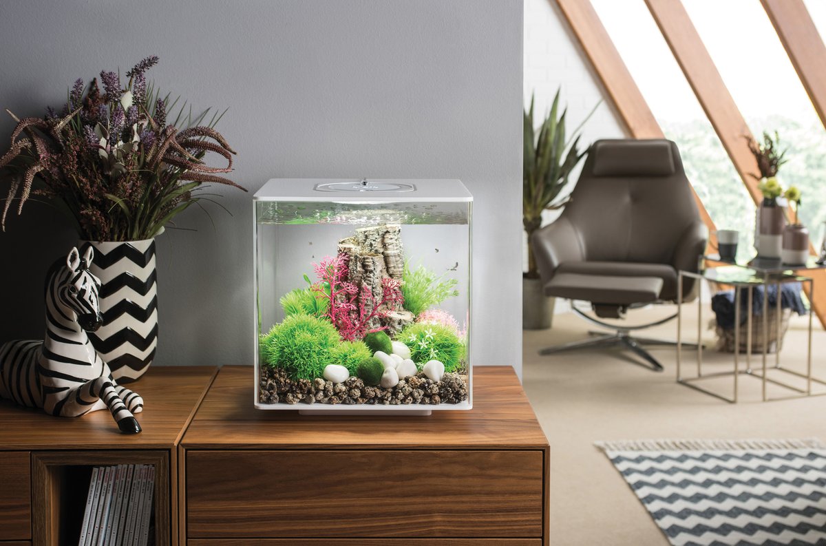 Relations médias & Stratégies d'influence 📰 📲 tweet media