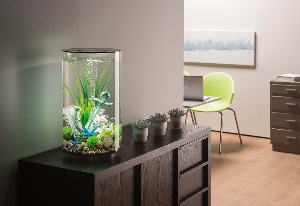 Aquariums #biOrb - Un précieux décor nature au travail <a href="/OaseFrance/">Oase SA</a> 🌿🌸

Se sentir bien sur son lieu de travail est un facteur avéré de meilleure productivité. Les biOrb, qui subliment les espaces de manière élégante, contribuent à ce #bienêtre.

➡️ bit.ly/3tZh0IW