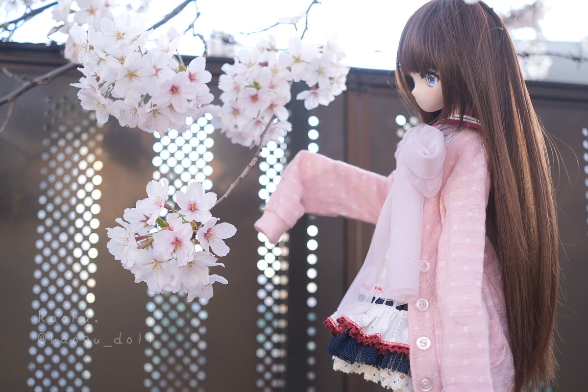 kaosu_doll's tweet photo. Switchpodใใณใใใซใไธ่
+
ไธ่็ฉดไปใใใผใซในใฟใณใ
+
ใขใผใ
+
Litra torch & Litra Pro
Switchpod ๆๆใกใขใผใ๏ผ่ชๆฎใๆฃใขใผใ๏ผ
1ใป4ๆ็ฎในใใ๏ผXperia XZ1๏ผ
2ใป3ๆ็ฎ Fujifilm X-T30 27mm๏ผๆ็ฎ41mm๏ผ
#switchpod https://t.co/vjsyvT2MDN