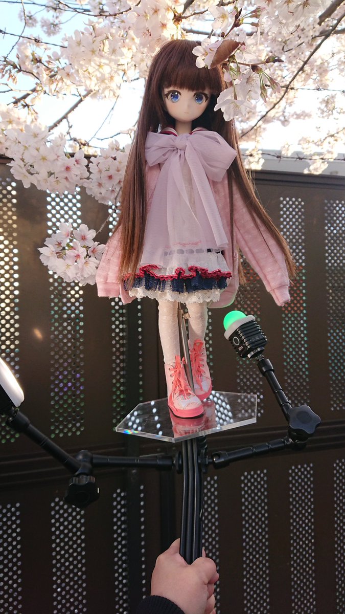 kaosu_doll's tweet photo. Switchpodใใณใใใซใไธ่
+
ไธ่็ฉดไปใใใผใซในใฟใณใ
+
ใขใผใ
+
Litra torch & Litra Pro
Switchpod ๆๆใกใขใผใ๏ผ่ชๆฎใๆฃใขใผใ๏ผ
1ใป4ๆ็ฎในใใ๏ผXperia XZ1๏ผ
2ใป3ๆ็ฎ Fujifilm X-T30 27mm๏ผๆ็ฎ41mm๏ผ
#switchpod https://t.co/vjsyvT2MDN