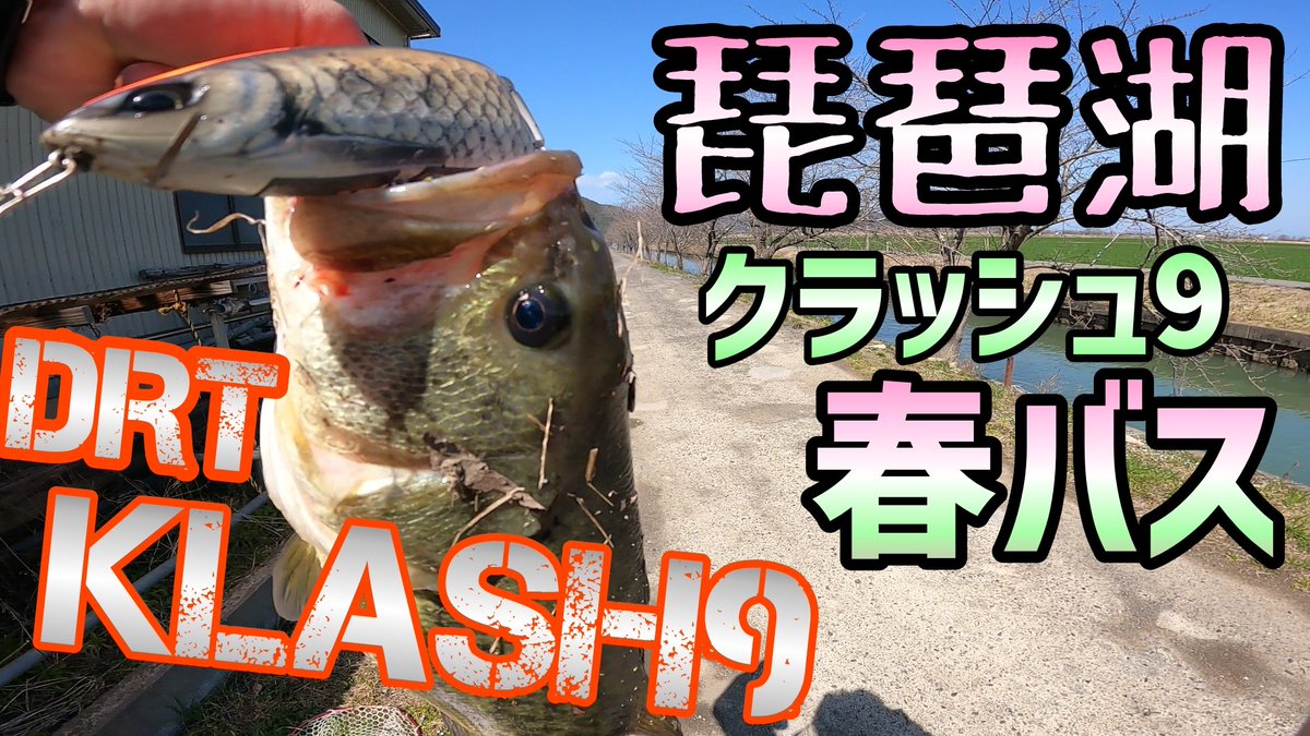 キャベツch クラッシュ9に春バスが襲う 今回はビッグベイトでのバイトシーンバッチリ撮れてます 是非ご覧ください T Co Mchpo9jovi 琵琶湖バス釣り バス釣り 釣り 琵琶湖釣り 琵琶湖オカッパリ 琵琶湖おかっぱり おかっぱり キャベツch クラッシュ9に春バスが襲う 今回はビッグベイトでのバイトシーンバッチリ撮れてます 是非ご覧ください T Co Mchpo9jovi 琵琶湖バス釣り バス釣り 釣り 琵琶湖釣り 琵琶湖オカッパリ 琵琶湖おかっぱり おかっぱり