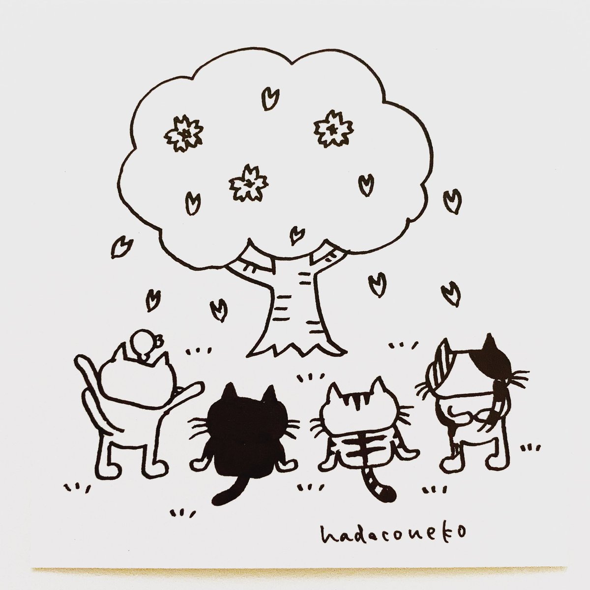Twoucan ハチワレ猫 の注目ツイート イラスト マンガ Twoucan ハチワレ猫 の注目ツイート イラスト マンガ