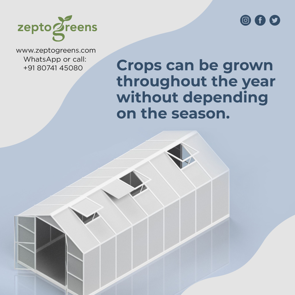 Greenhouse farming has a low risk for the farmer and gives employment opportunities for the rural mass, there is no scope for seasonal unemployment problem. 
visit: zeptogreens.com
#greenhouseplants #greenhousefarming #smartfarming  #zepto #easyfarming #phbalance