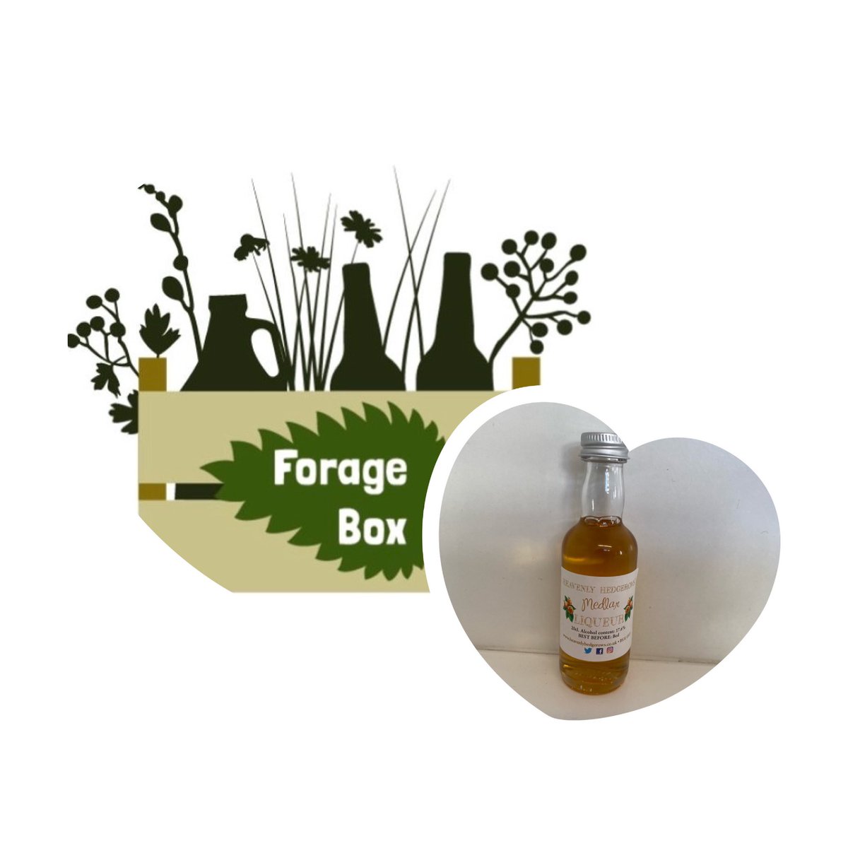 Thrilled to announce that our Medlar Liqueur will be a guest product in April’s @ForageBox F/B is a monthly subscription service providing 5 easy-to-use wild and foraged products for you to enjoy at home. The ingredients they send out are hyper-seasonal and completely unique.