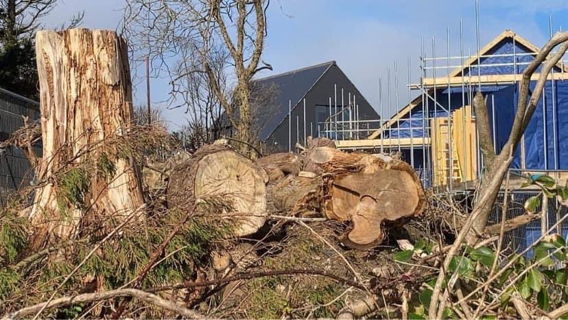 St Ives Town Council have just unanimously objected to the Carbis Bay G7 Summit Hotel planning application with the strongest possible objection. What now <a href="/BorisJohnson/">Boris Johnson</a> <a href="/cabinetofficeuk/">Cabinet Office</a> <a href="/StIvesTownCounc/">St Ives Town Council</a> @CwallWildlife <a href="/BBCCornwall/">BBC Cornwall</a> <a href="/thetimes/">The Times and The Sunday Times</a> <a href="/Independent/">The Independent</a> <a href="/horton_official/">Helena Horton</a>