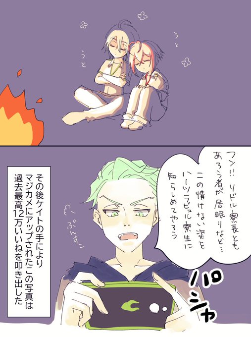 (なんちゃってシルリド)幻覚…じゃない…現実……🕊️
※キャンプバレ 