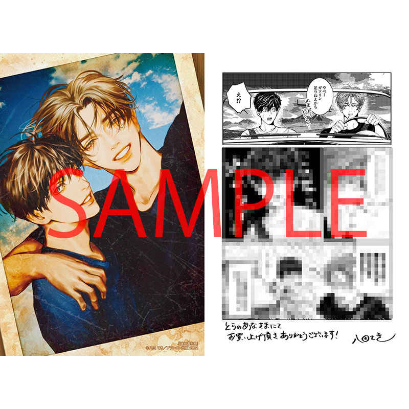 遥か遠き家 八田てき 特典 イラストカード 紙の舟で眠る 遥か遠き家