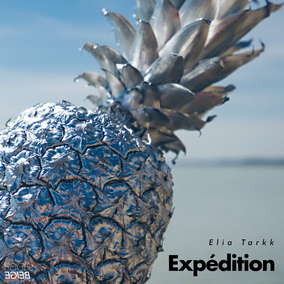 EliaTarkk's tweet photo. Hello ! Expédition #OUTNOW                   Link in bio ! #NewMusic #records #playlist #musiclife https://t.co/SWawcbzDm8