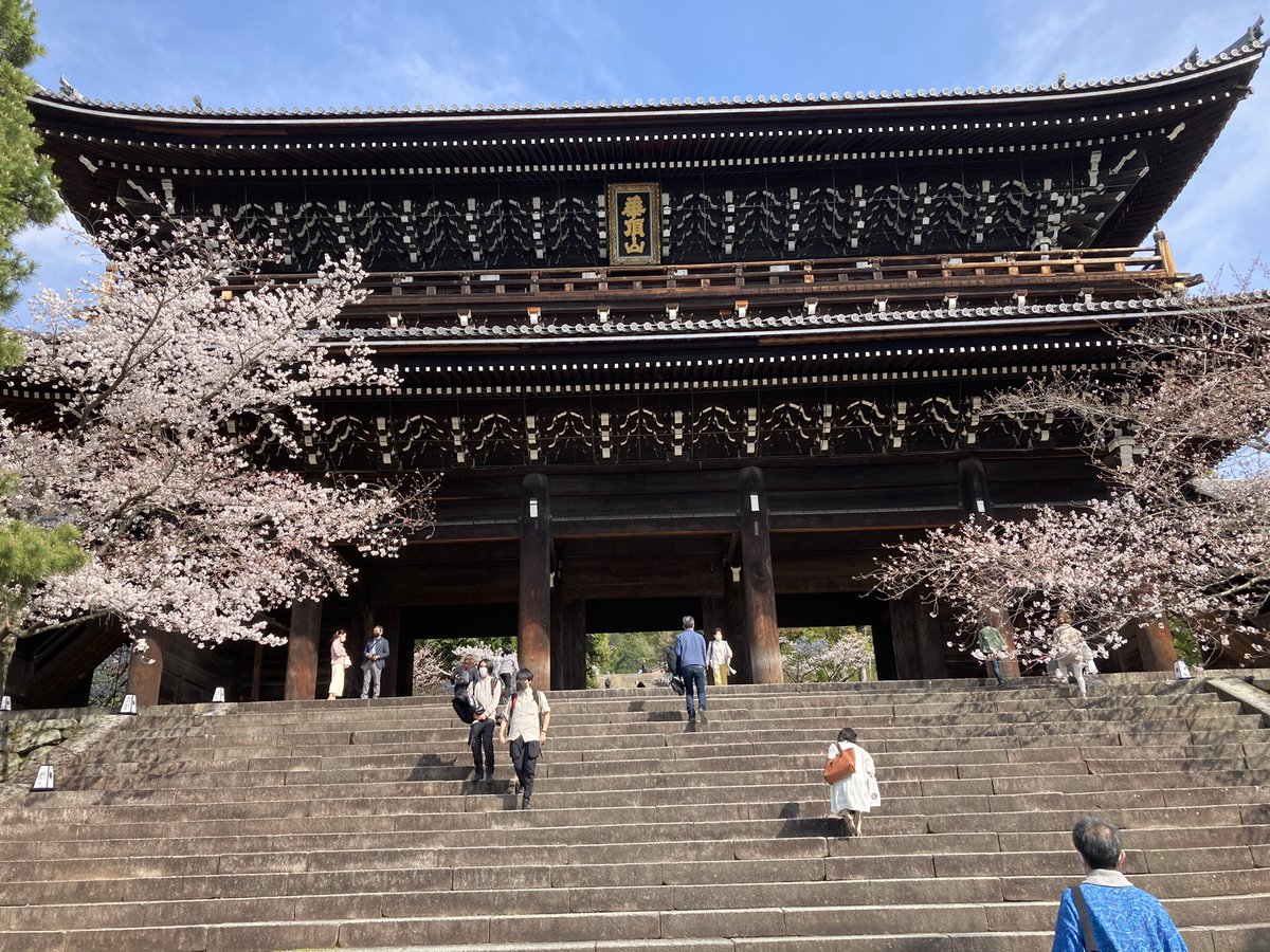 Hanafree12's tweet photo. お仕事のあとは桜満開の京都市内へ🌸

円山公園は人でいっぱいでしたが、おとなりの知恩院は長い階段を登らないといけないこともあり、のんびりお花見したり、写真撮ったりできました☺️

知恩院は浄土宗の総本山で建物も見応え抜群なのに、境内の入場は無料なんです✨

実は穴場なスポットです😊 https://t.co/Prc4E3Au0N