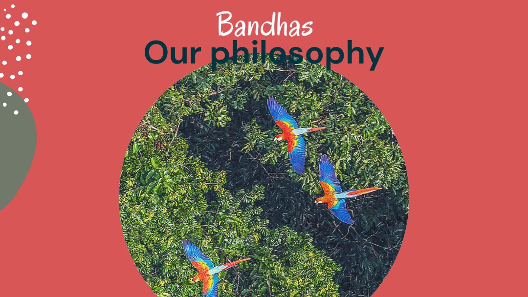 Our philosophy: Ecology. #Planet before profit is essential to our work. That's why we're putting our beliefs into action - by restoring wildlife with <a href="/ITF_Worldwide/">International Tree Foundation</a>. Together, we plant 200 trees a month.