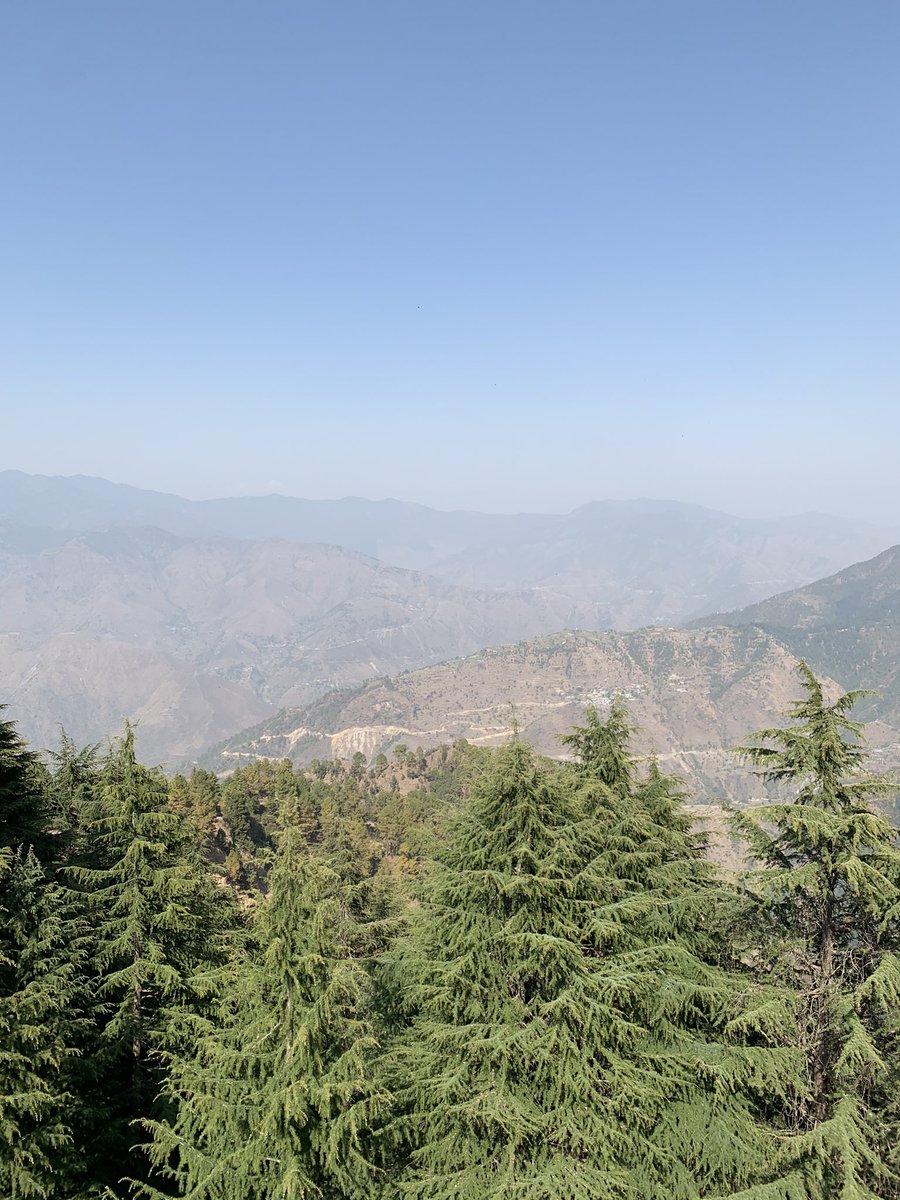 shroff_gautam's tweet photo. #Laltibba highest peak of #Mussourie , calm cold winds amidst these mountains #peaceful #NaturePhotography #beautifulworld #Landour #Himalayanview #7300ft https://t.co/m7FAqvHJ6q