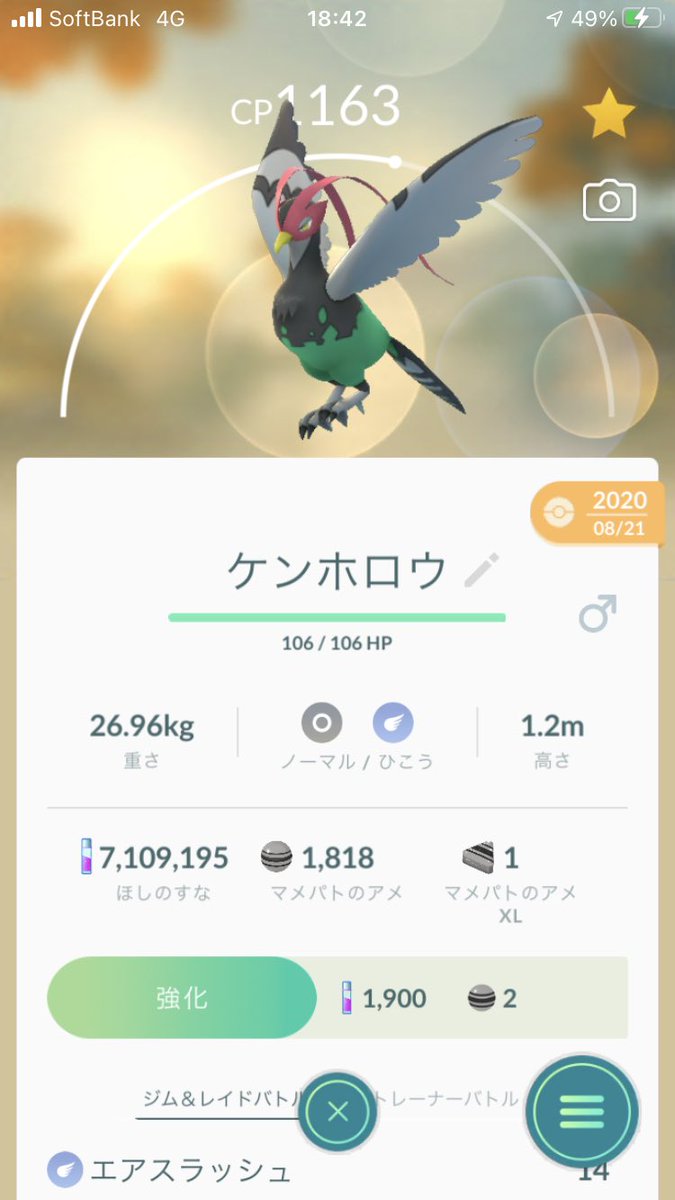 コレクション ポケモン ケンホロウ 色違い