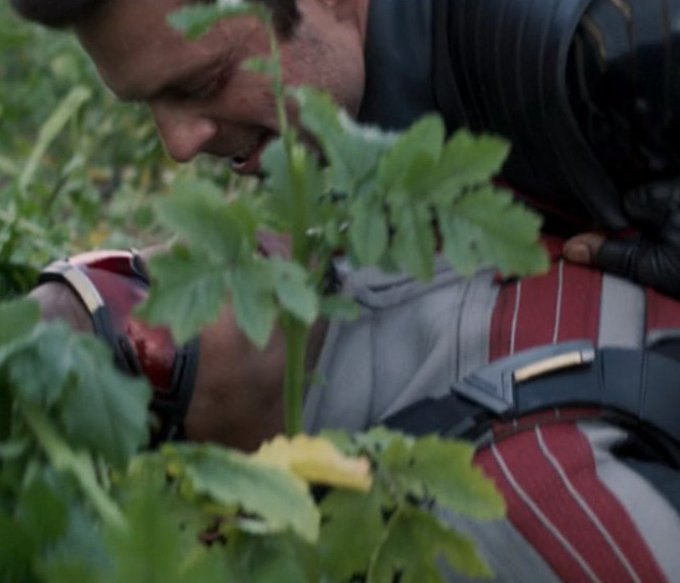 lunanot_tuna's tweet photo. #TheFalconAndTheWinterSoldier spoilers 
-
-
-
-
-
-
-
i just have ONE question 
how did they manage to film this https://t.co/vztychIrCJ