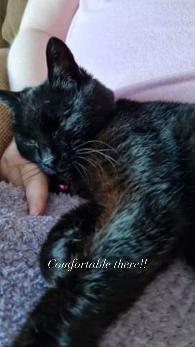 kerrymThompson's tweet image. Day 7 of 7, I&apos;ve been nominated by @AliMakesHay

To produce a picture a day to illustrate my daily life (no people). You have to copy these words, add photo and repeat the challenge. Today I nominate 
@AmiHIreland 
 
#BrainAwarenessWeek2021 
#TakeABreak