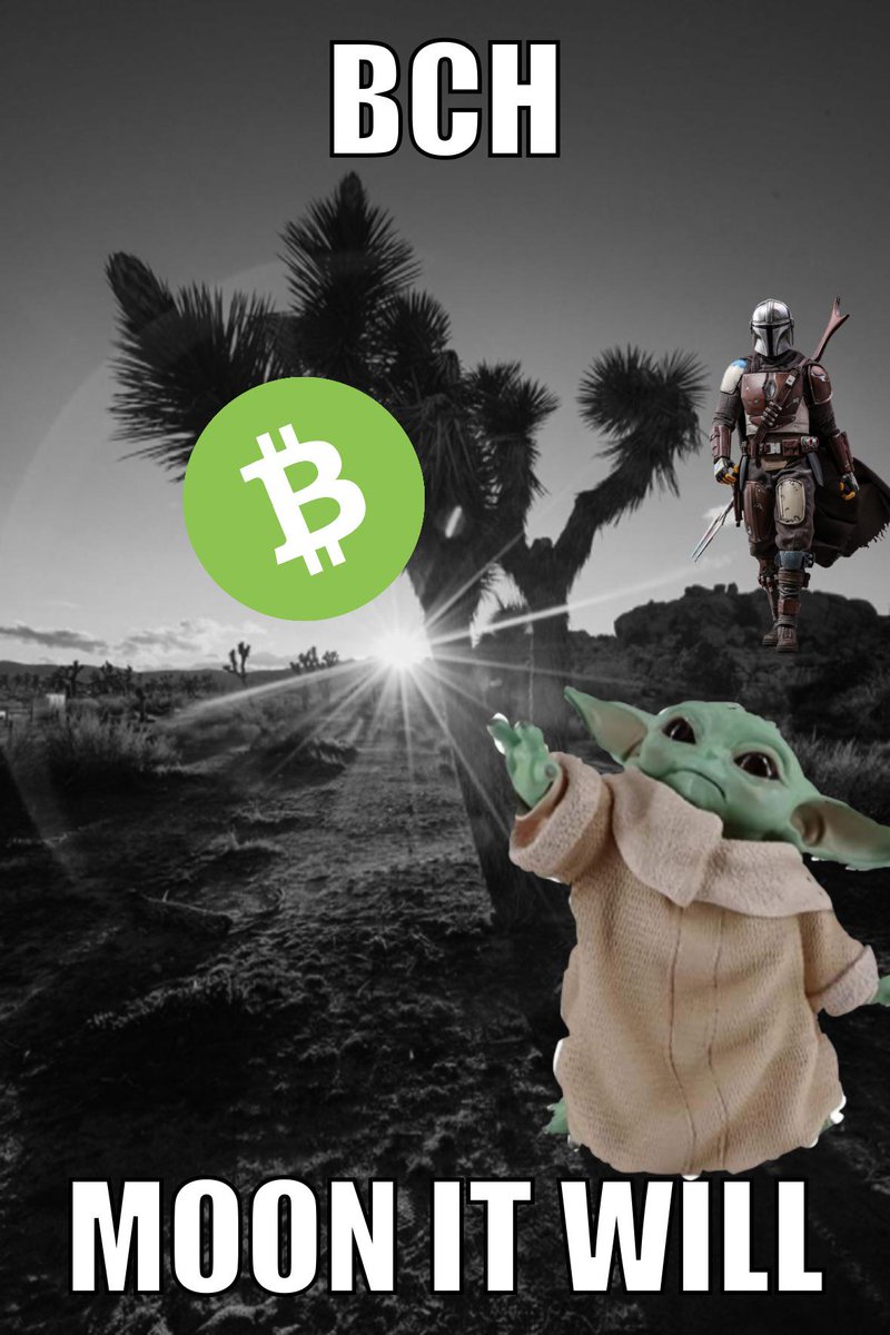 AngryKoala12's tweet photo. You don't know what you're missing! Dont be late for nee BCH project https://t.co/yGrmJQTXm4
............................................
#bch #bitcoincash #CryptoNews
#newproject https://t.co/dsUdypHb9z